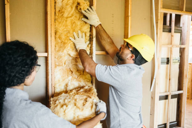 Types of Insulation We Offer in Wyoming, MI